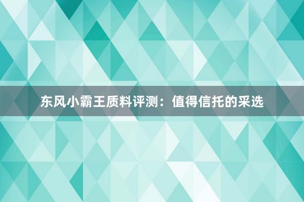 东风小霸王质料评测：值得信托的采选